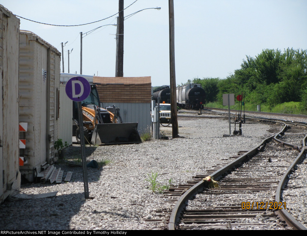 Moved location to the yard.